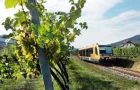 Mit der Wachaubahn zum Weinfrühling, © NÖVOG/weinfranz